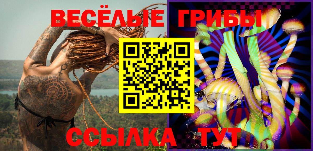Городец  Галлюциногенные грибы Magic Shrooms  Вход с VPN 
